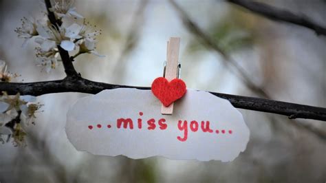 miss you